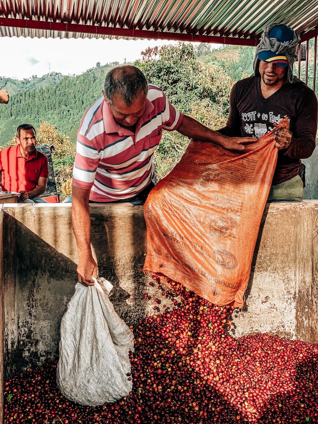 Decaf Before Death - Villamaria Nimbus Decaf (100g)