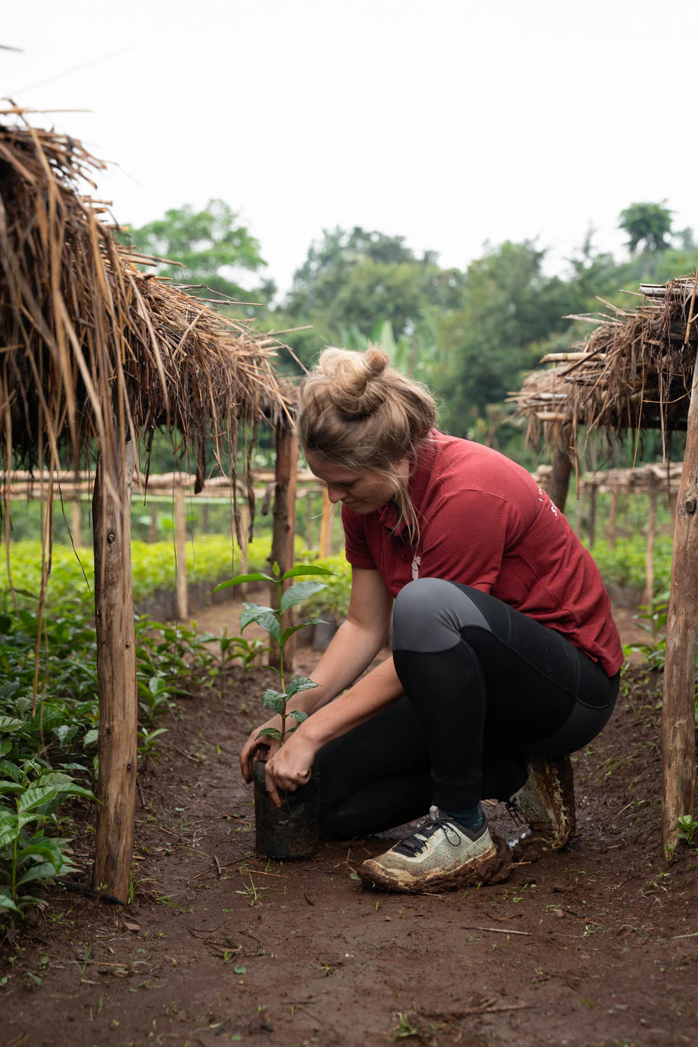 Decaf Before Death - Alemu Adama Decaf (100g)