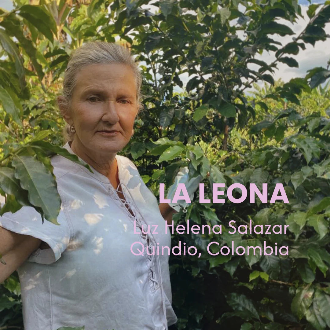 D Stands For Decaf - Sweet Momelo (200g)