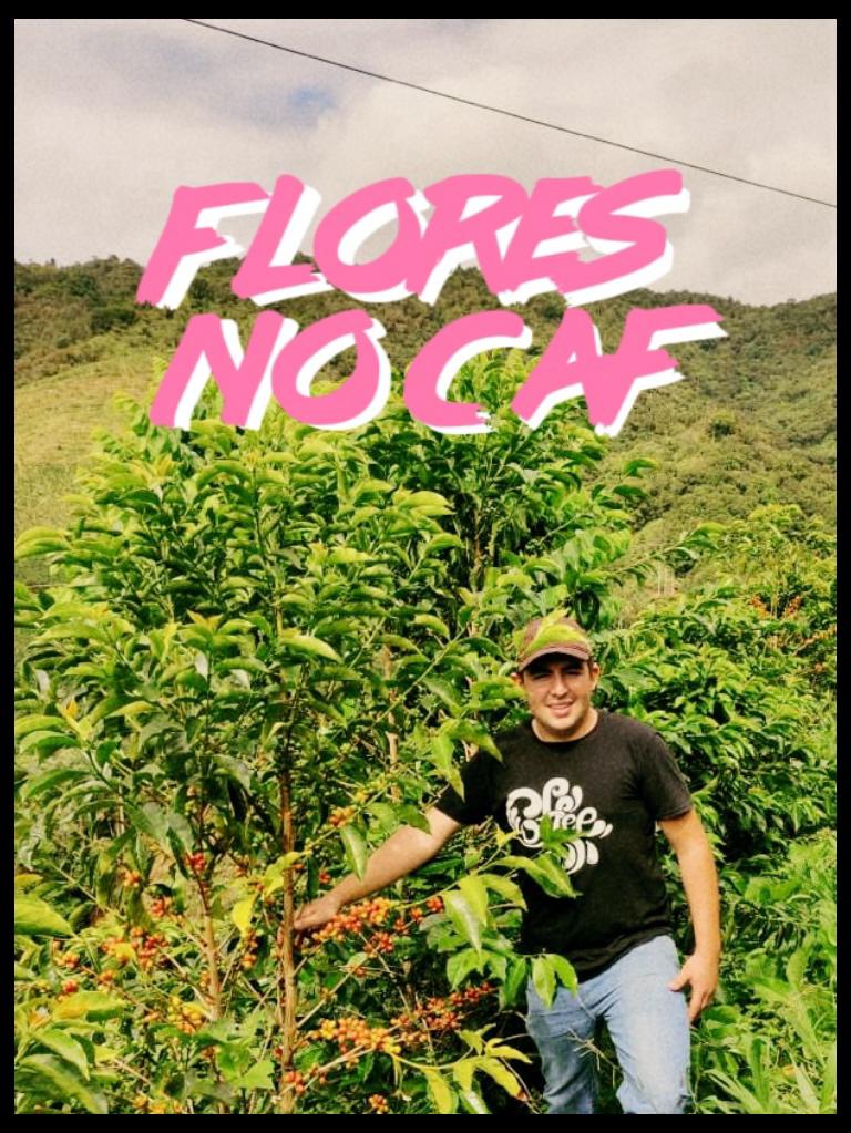 Suedseite - Las Flores Decaf (200g)