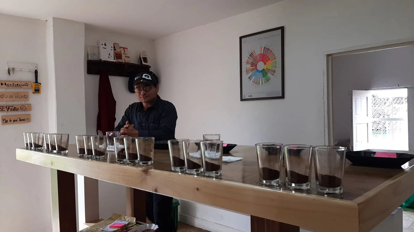 September - Rainbow Cocktail - Colombia Decaf (250g)