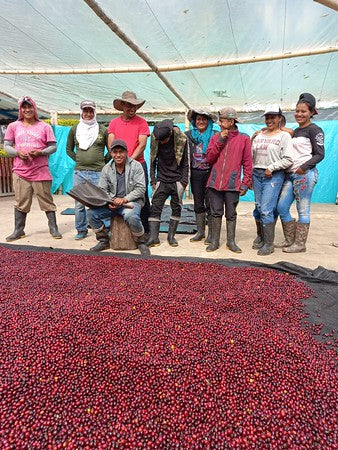 Decaf Before Death - Atunkaa Decaf 2025 (100g)
