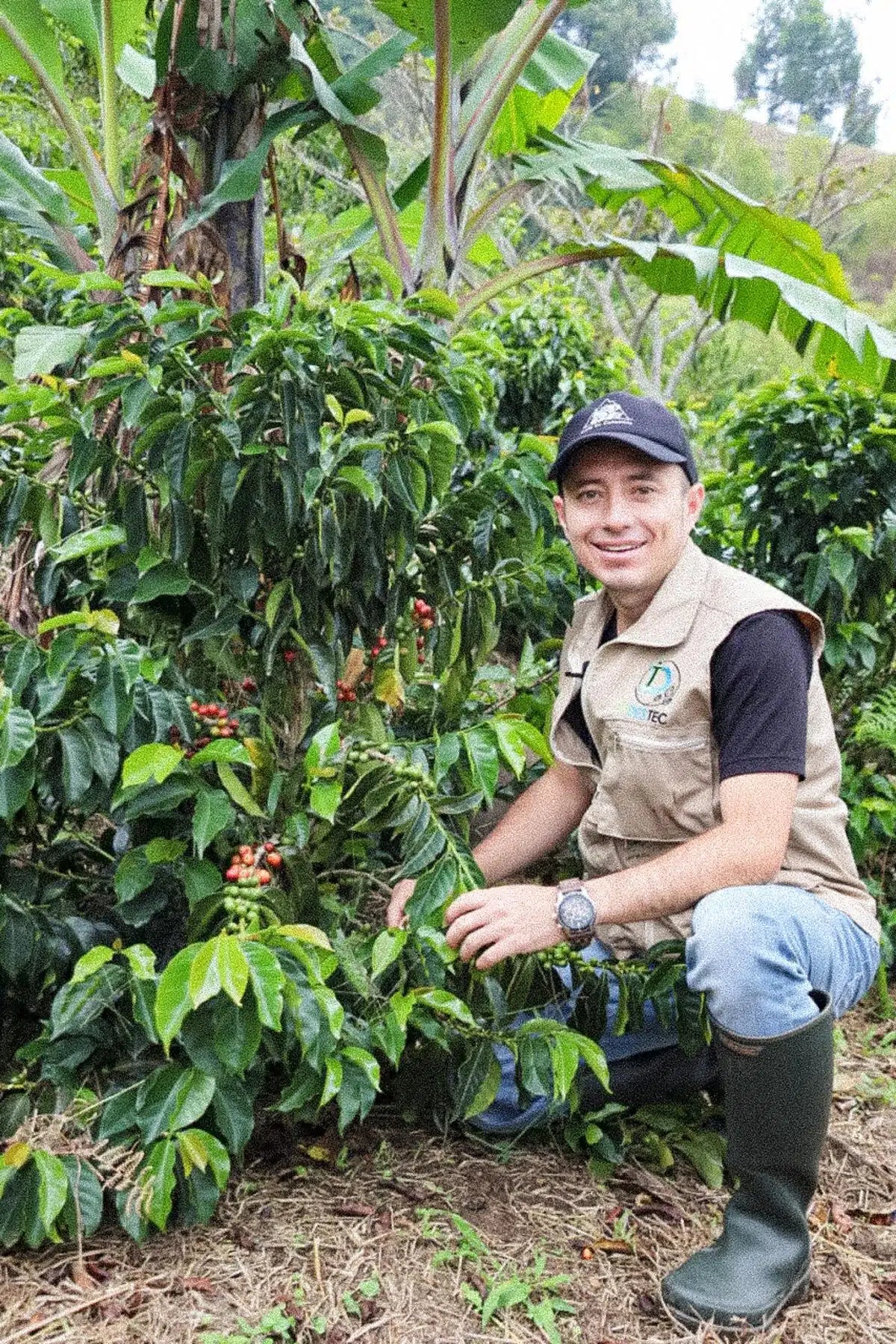 Father's - Diego Samuel Bermudez Anaerobic Decaf (100g)