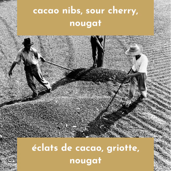 Neon Coffee Roasters - Daterra - Brazil - Low-Caf Reserve (250g)