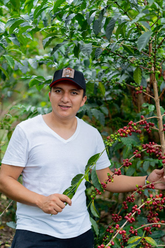 Decaf Before Death - El Diviso Ombligon Decaf (100g)