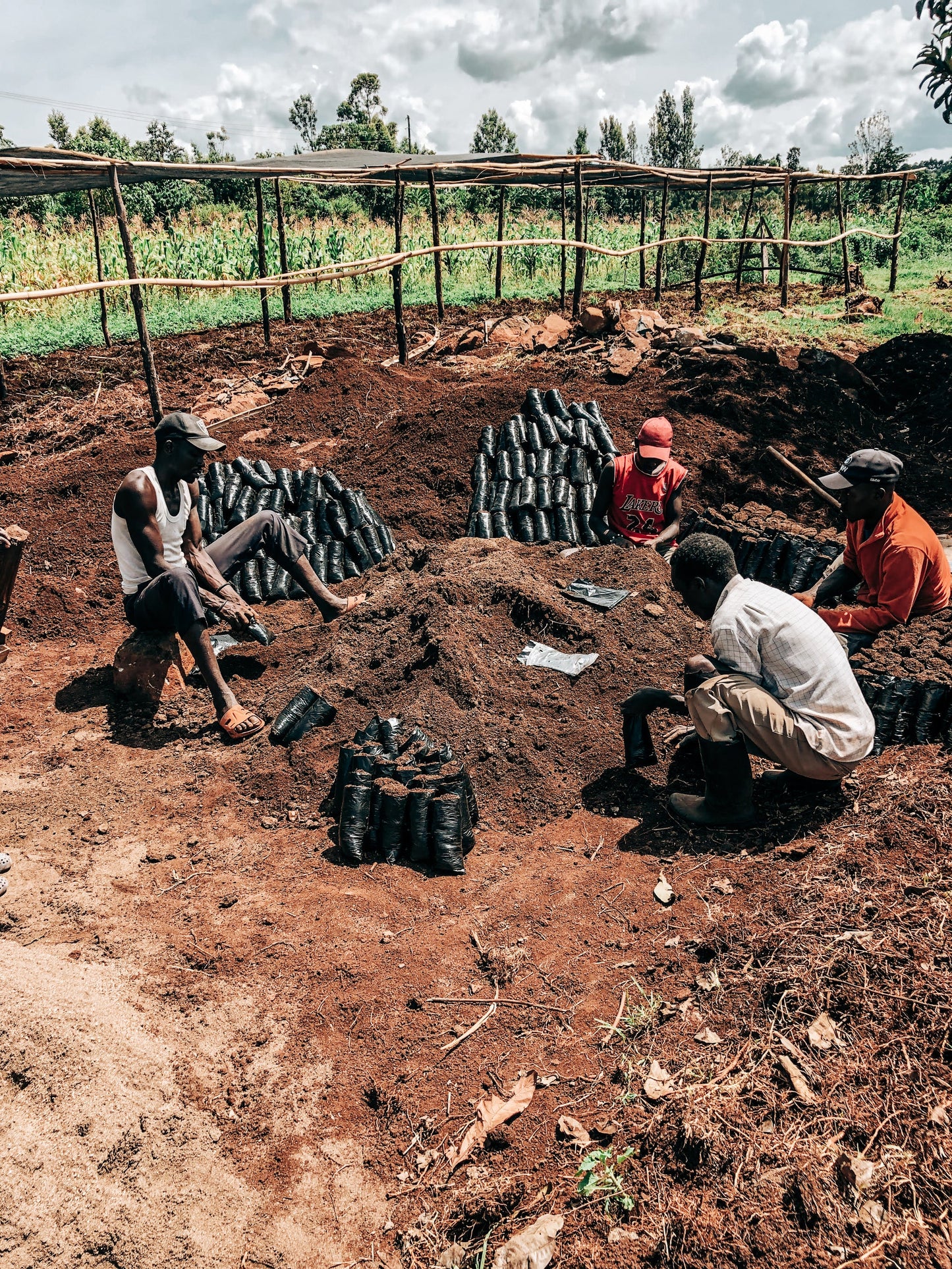 Decaf Before Death -  Kericho County AA Decaf (100g)