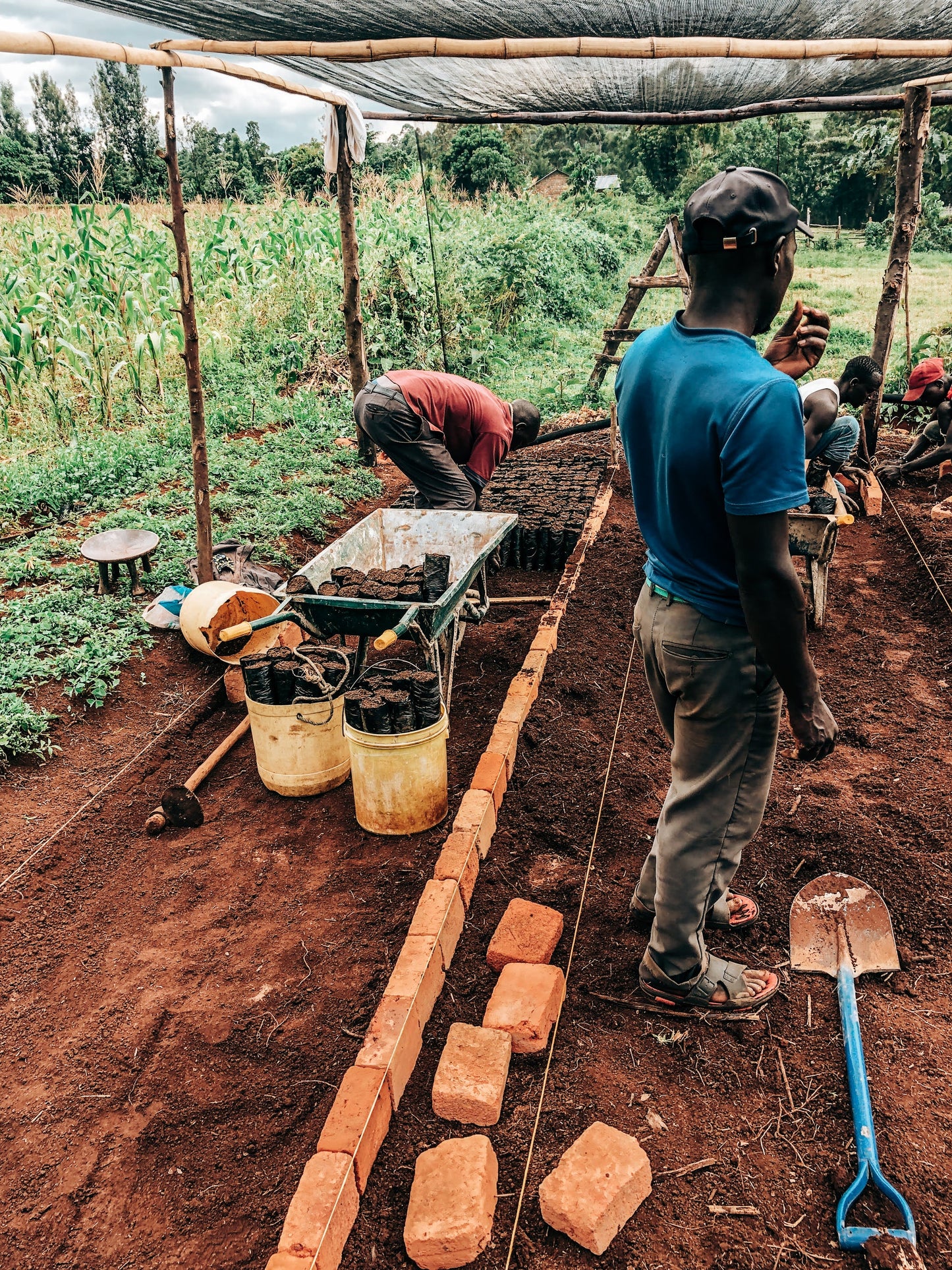 Decaf Before Death -  Kericho County AA Decaf (100g)